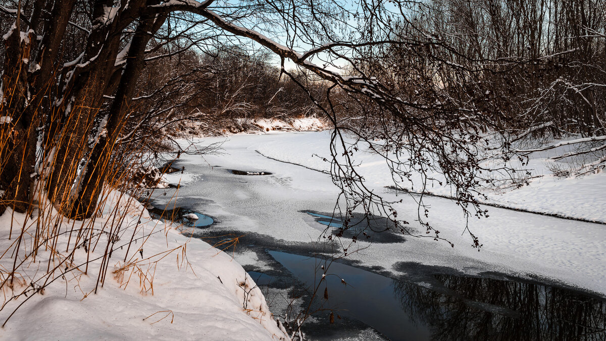 ... - Жора Житников ... - Жора Житников