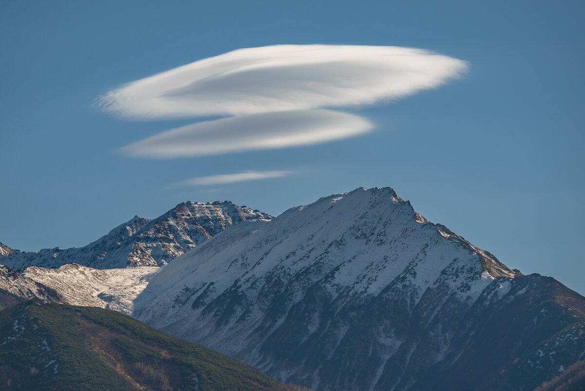 ... - Жора Житников ... - Жора Житников