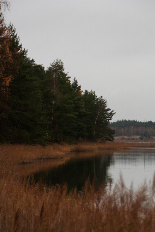 Где-то под Тверью - Chortyla 