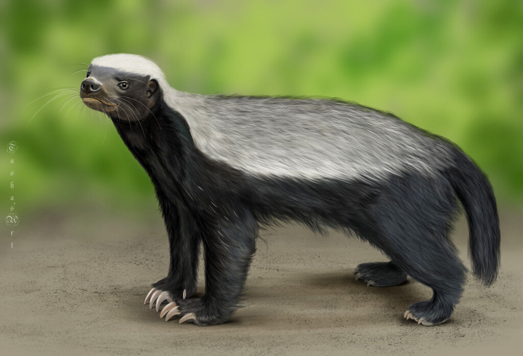 Медоед - Наталия Львова