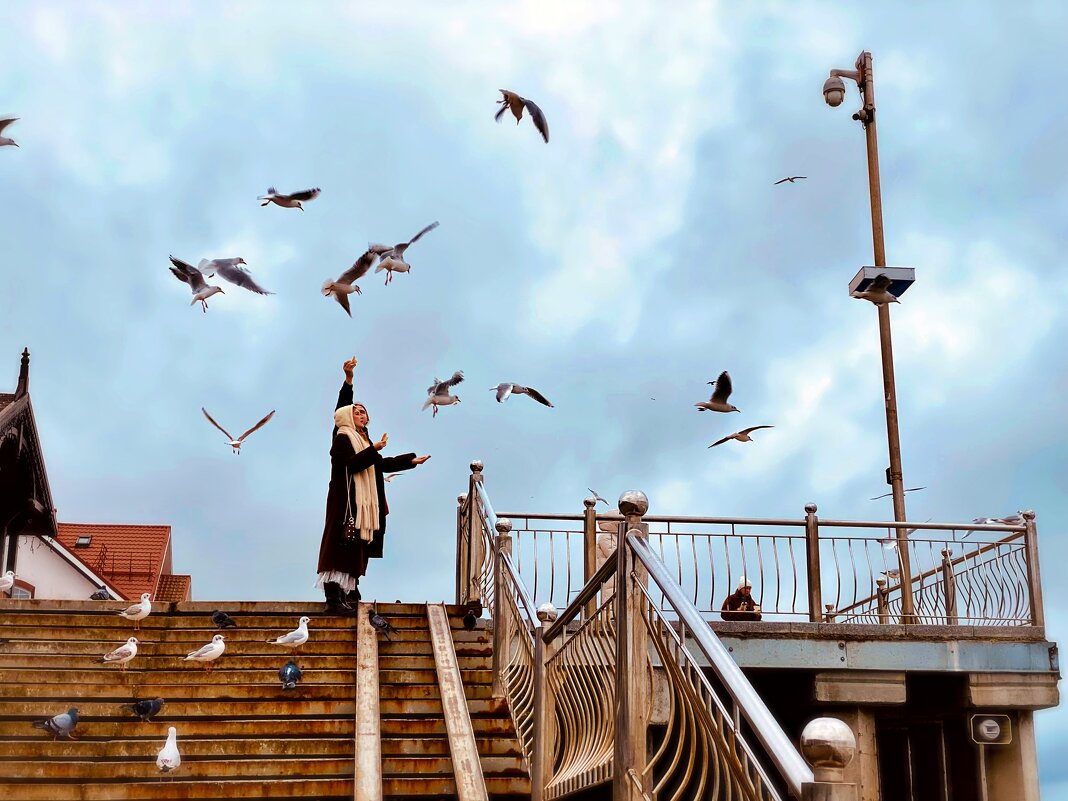 Зеленоградск - Антон 