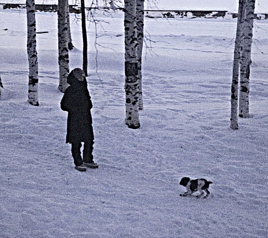 Утро декабря...К любимой хозяйке! - Владимир 