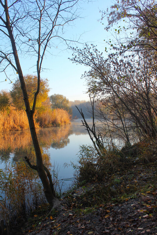 Утро. - Александр 
