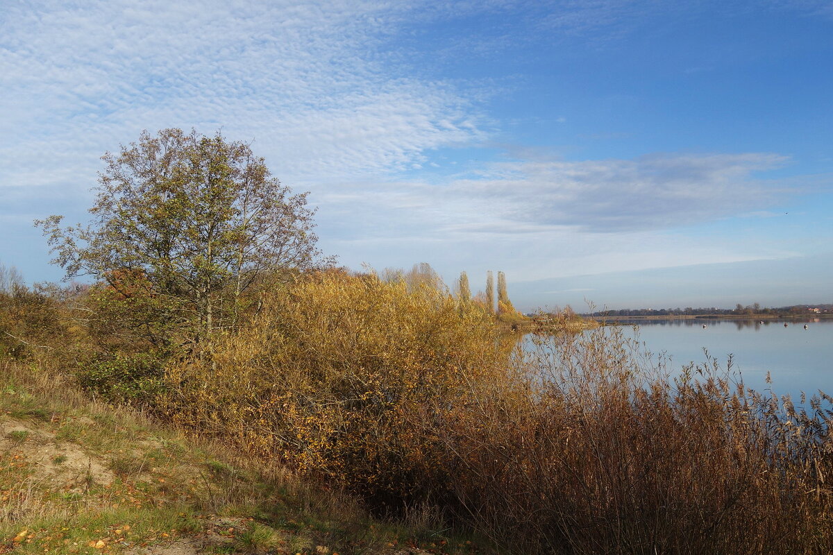 Осенний пейзаж - Рита Симонова