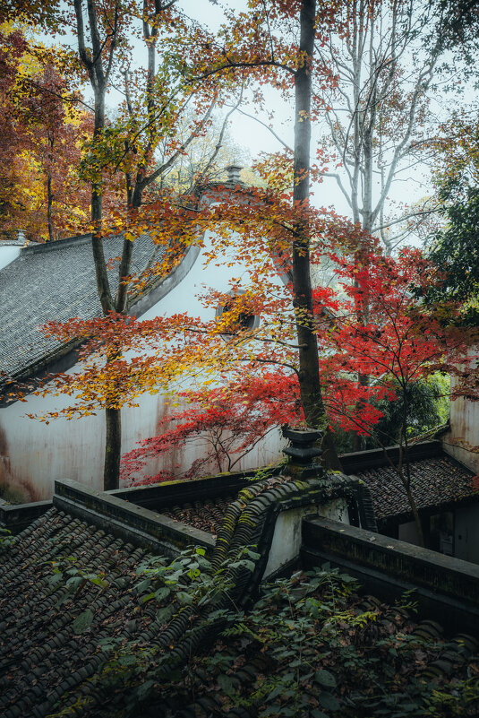 Осень в парке - Дмитрий Осень в парке - Дмитрий