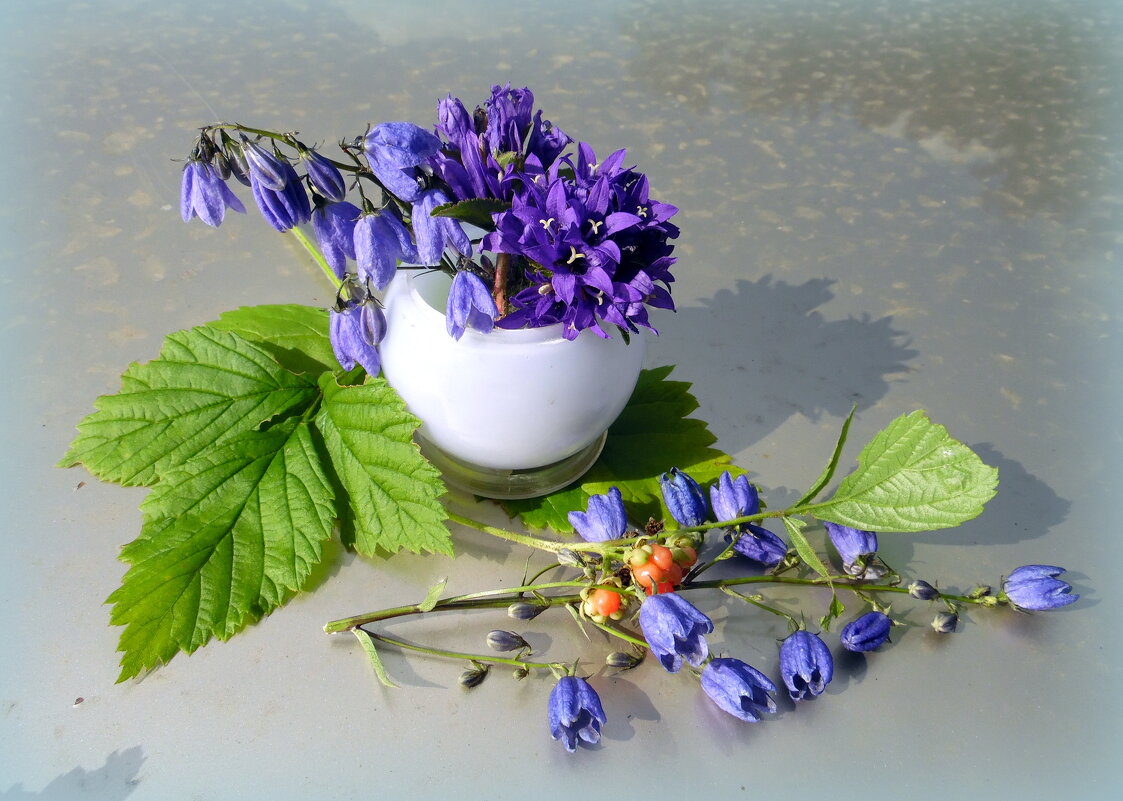 Колокольчики. - nadyasilyuk Вознюк