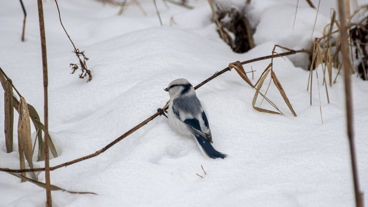 А кто это у нас тут такой красивенький?! - Вадим Басов