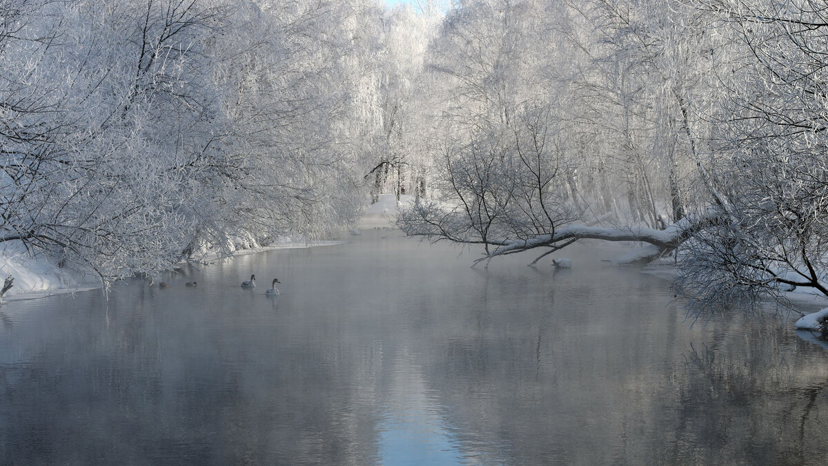 Зимняя...сказка - владимир 