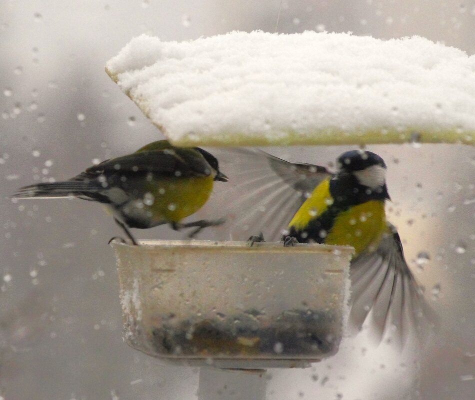 Снег пошёл... - Юрий Куликов