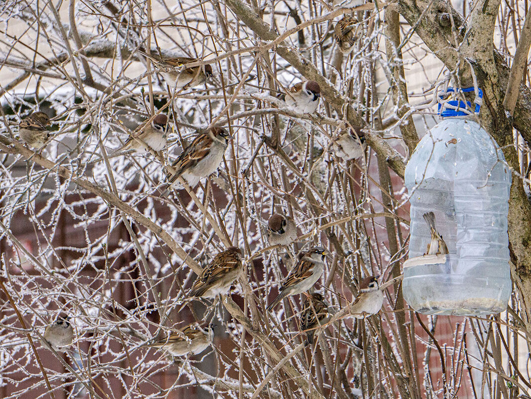 Очередь - Ирина Соловьёва