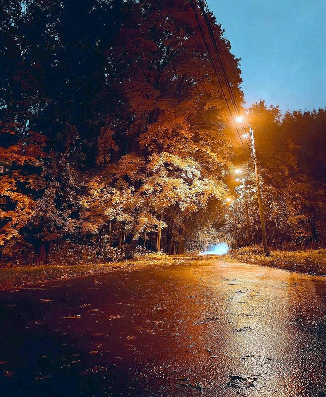 Осенний вечер - Елена 