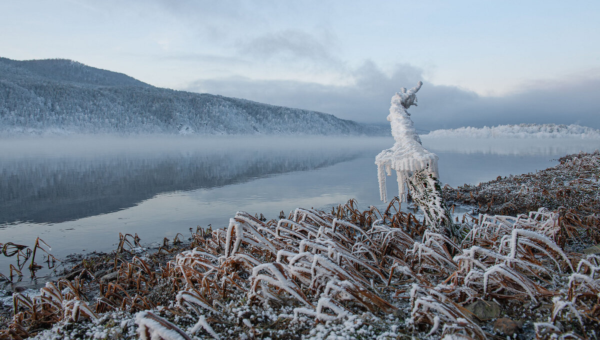 Смотрящий - Сергей Герасимов