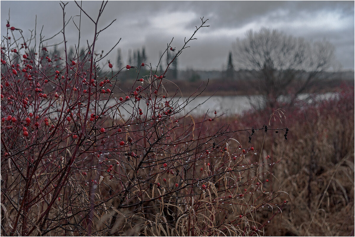 Атмосфера поздней осени - Валентин Котляров Атмосфера поздней осени - Валентин Котляров