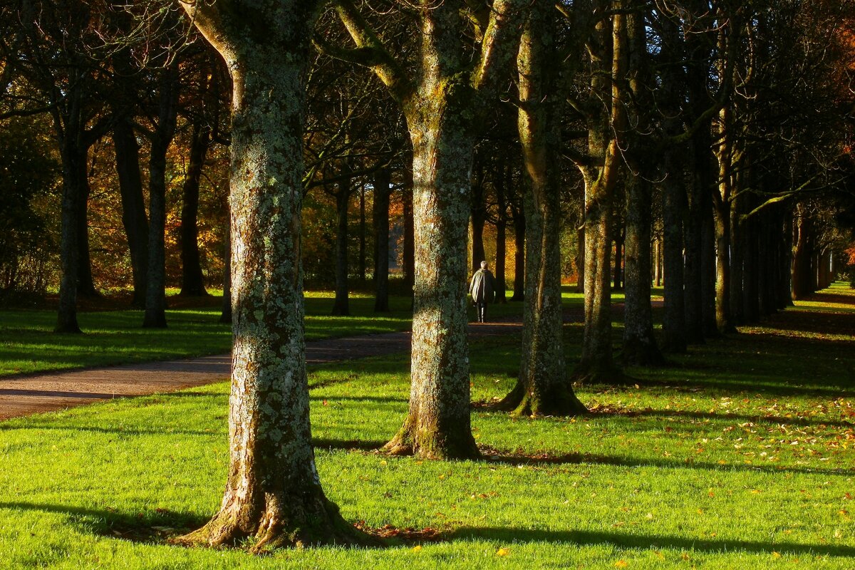В первых лучах солнца - Юрий. Шмаков