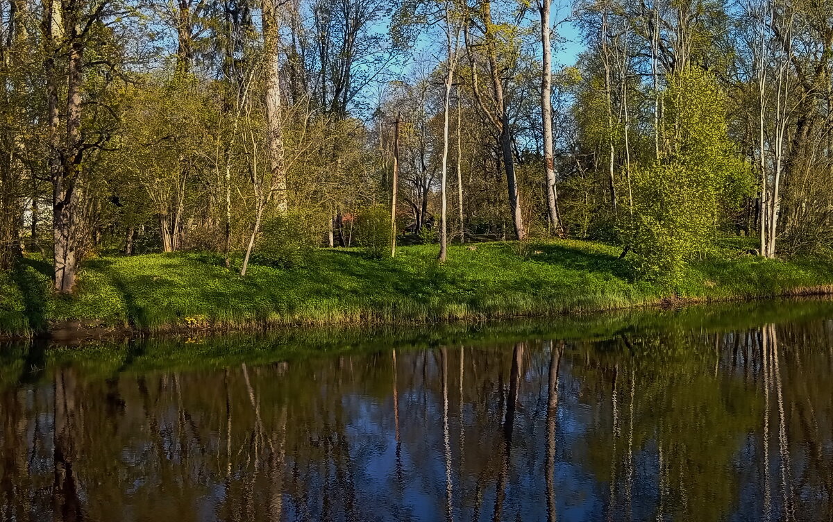 Однажды  майским днем.. - Татьян@ Ивановна