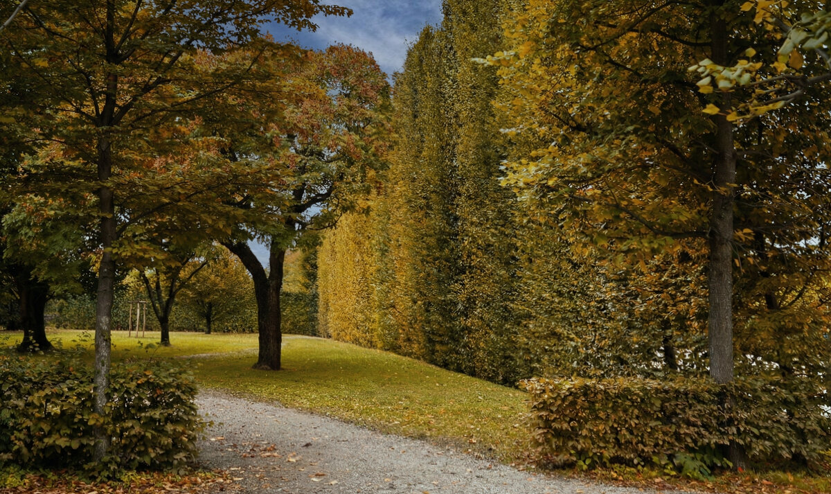 Осенее настроение - Valentin Bondarenko