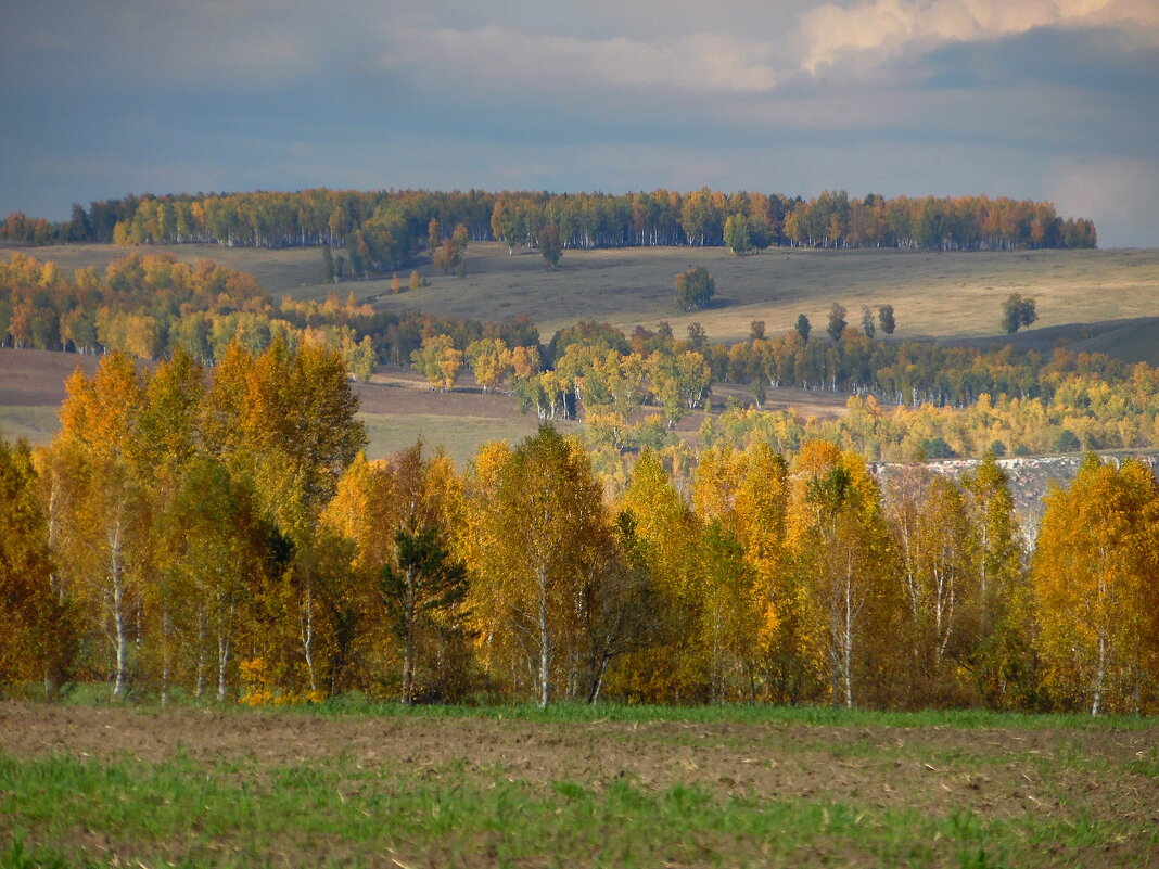 Российский край, моя земля, родимые просторы! - nadyasilyuk Вознюк Российский край, моя земля, родимые просторы! - nadyasilyuk Вознюк