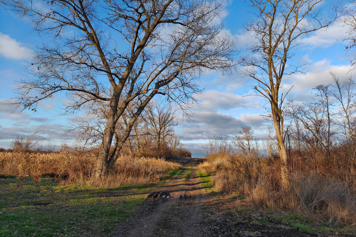 Тишина - Валерий Ткаченко