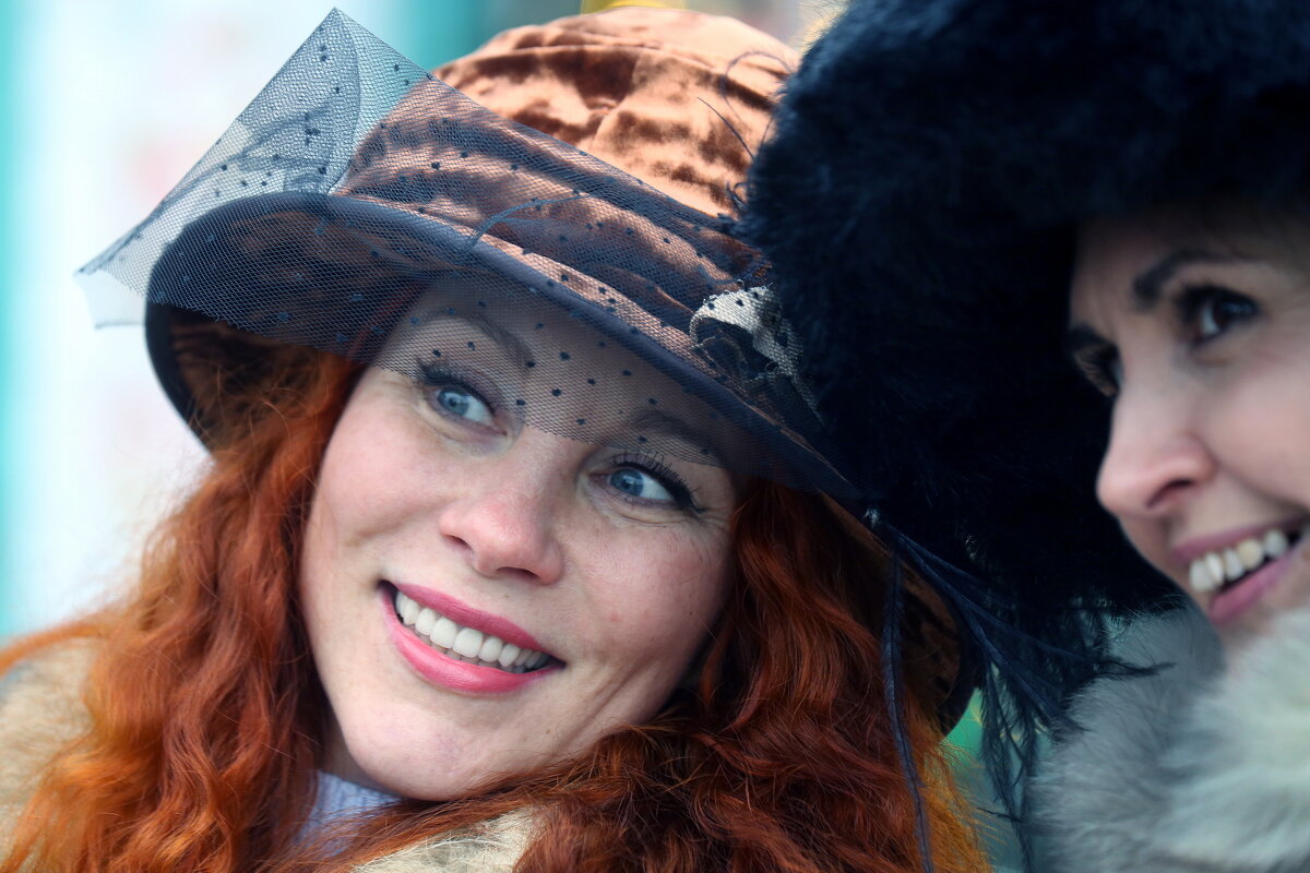 Зима в Коломенском 7 декабря - Михаил Бибичков Зима в Коломенском 7 декабря - Михаил Бибичков