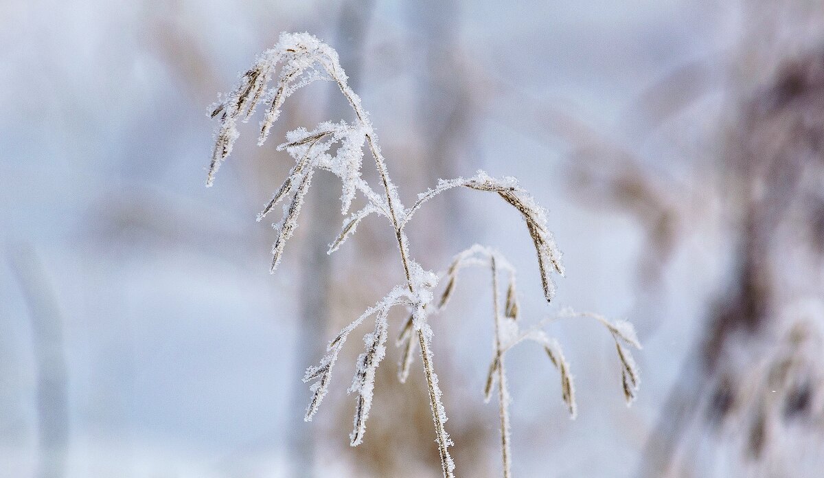 *** - Виктор Иванович Чернюк *** - Виктор Иванович Чернюк