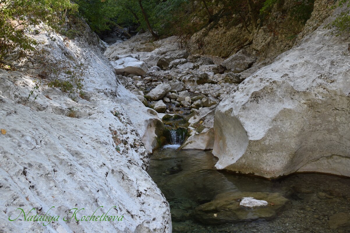 Природа Крыма - Amazing Cosmea Природа Крыма - Amazing Cosmea