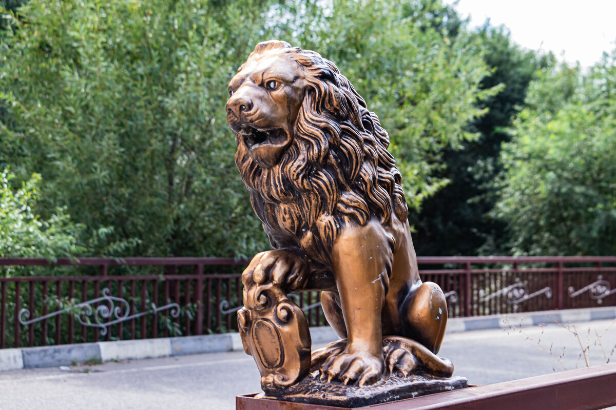 лев он и Кисловодсвке лев... - navalon M лев он и Кисловодсвке лев... - navalon M