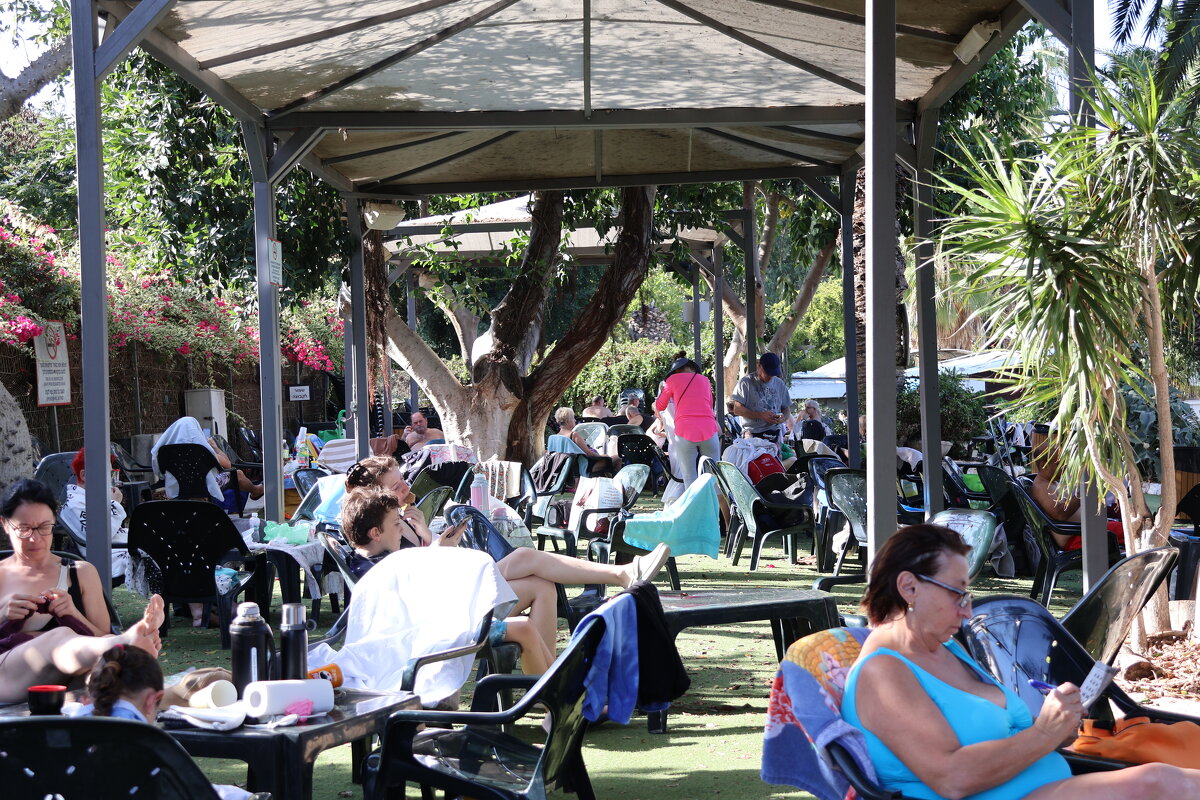 Декабрьский отдых - Аркадий Басович Декабрьский отдых - Аркадий Басович