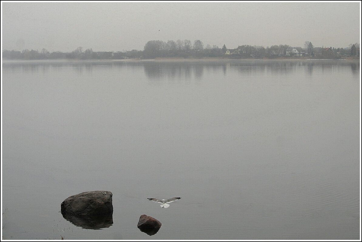 *** - Aleksandr Gal *** - Aleksandr Gal