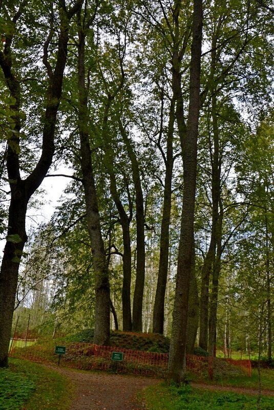 ПЕТРОВСКОЕ, вотчина Ганнибалов. - Виктор Осипчук ПЕТРОВСКОЕ, вотчина Ганнибалов. - Виктор Осипчук
