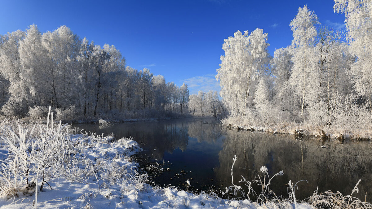 У родника.... - владимир 