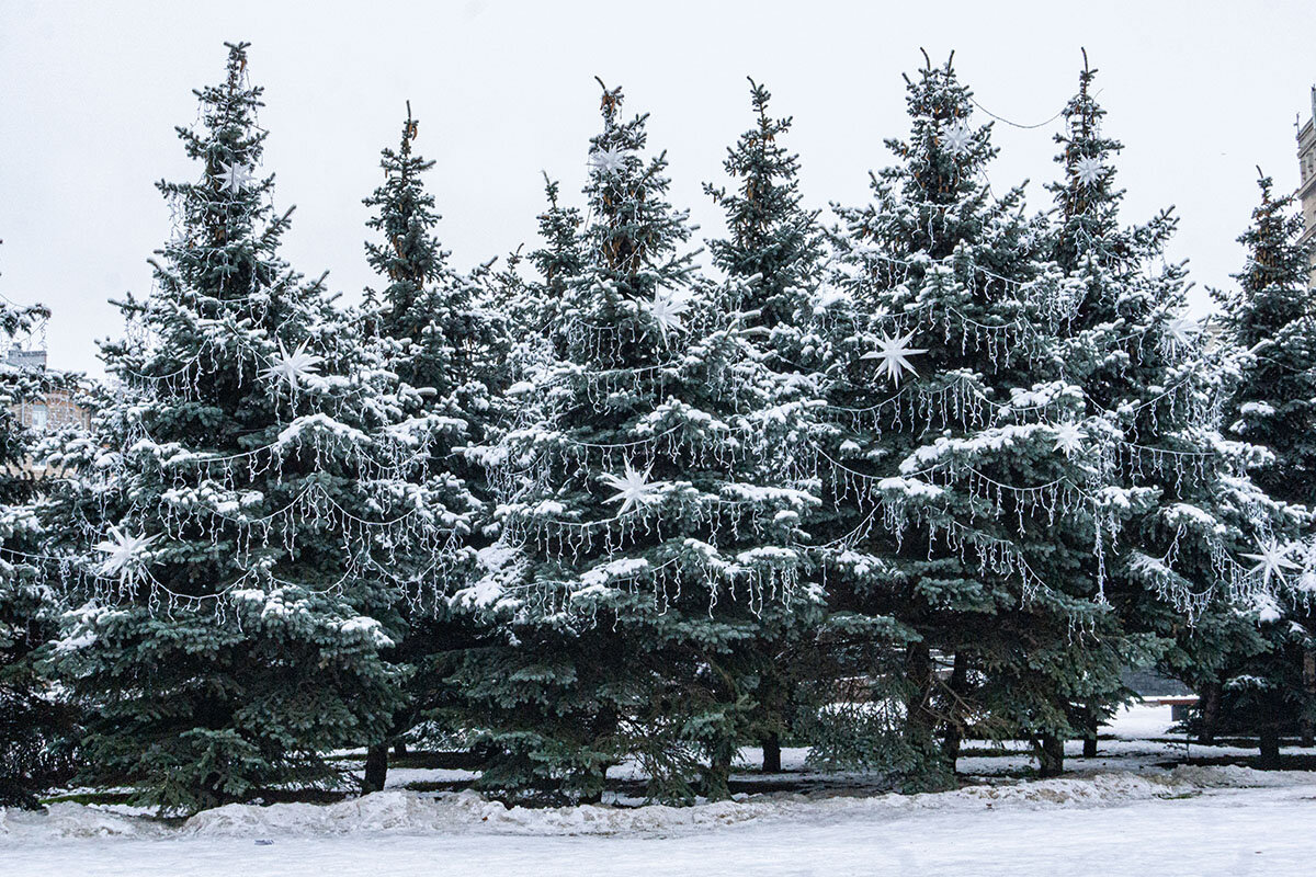 Скоро Новый год - Ирина Соловьёва Скоро Новый год - Ирина Соловьёва
