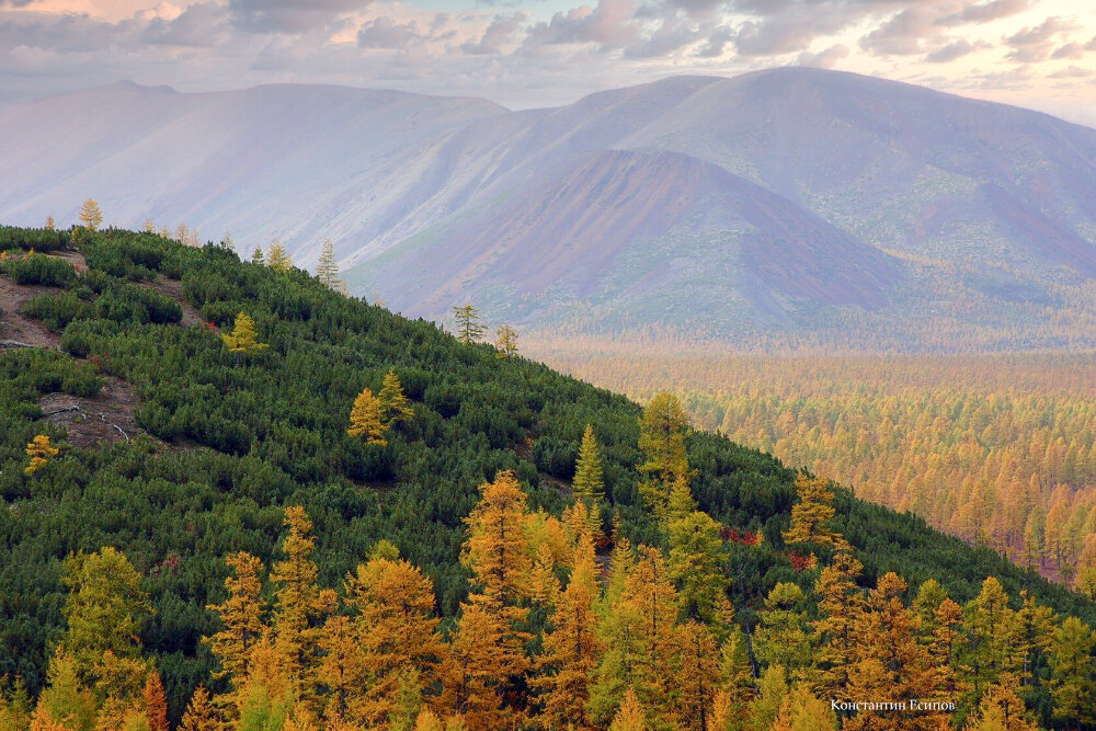 /// - Константин Есипов /// - Константин Есипов