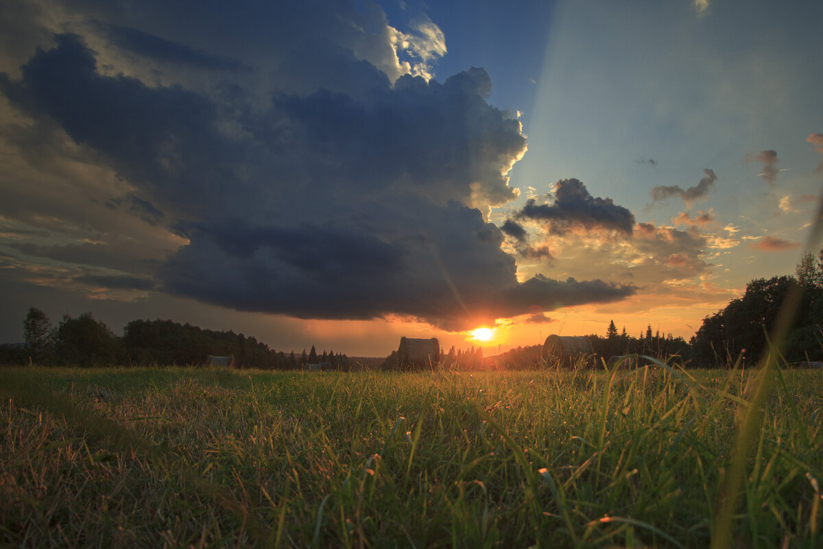 *** - Nataliya Belova