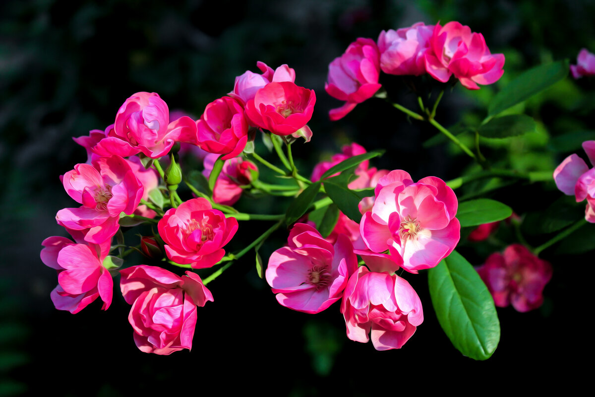 Картина маслом. - Александр Картина маслом. - Александр