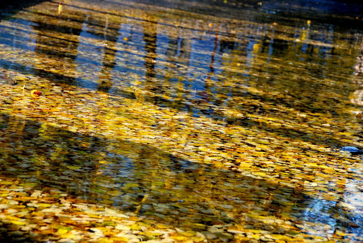 В ОТРАЖЕНИИ ОСЕНИ - Юрий Вовк