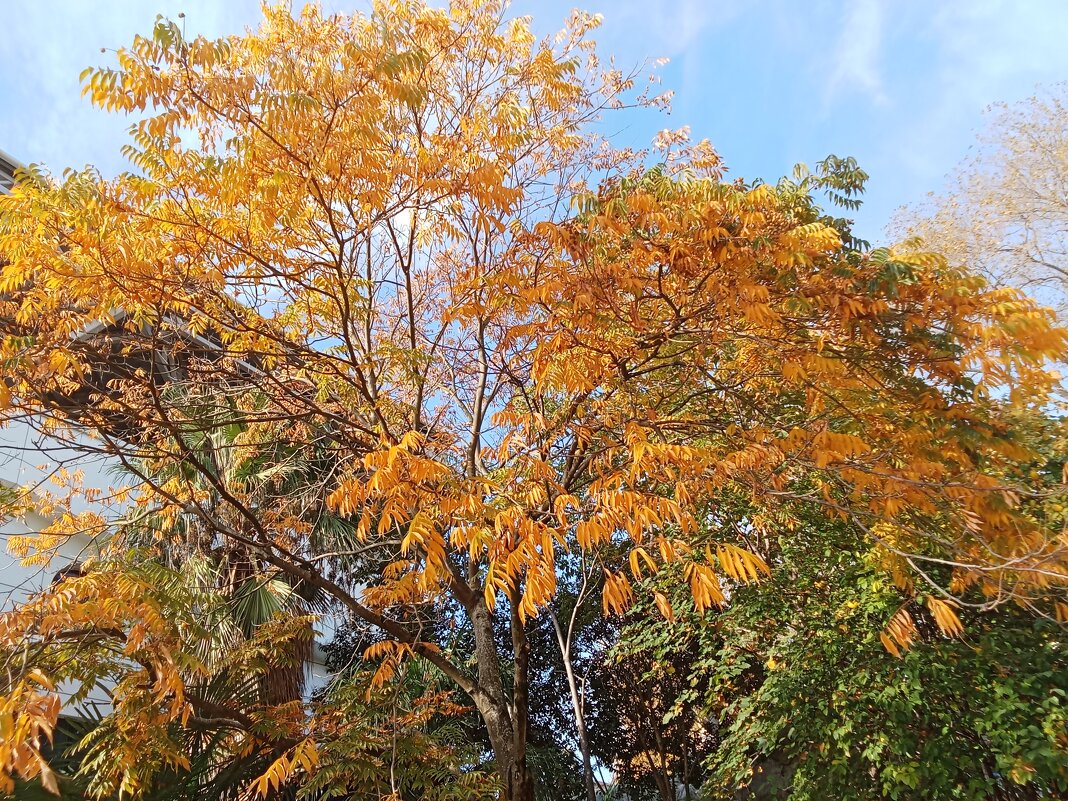 Осенние мотивы - Виктор 