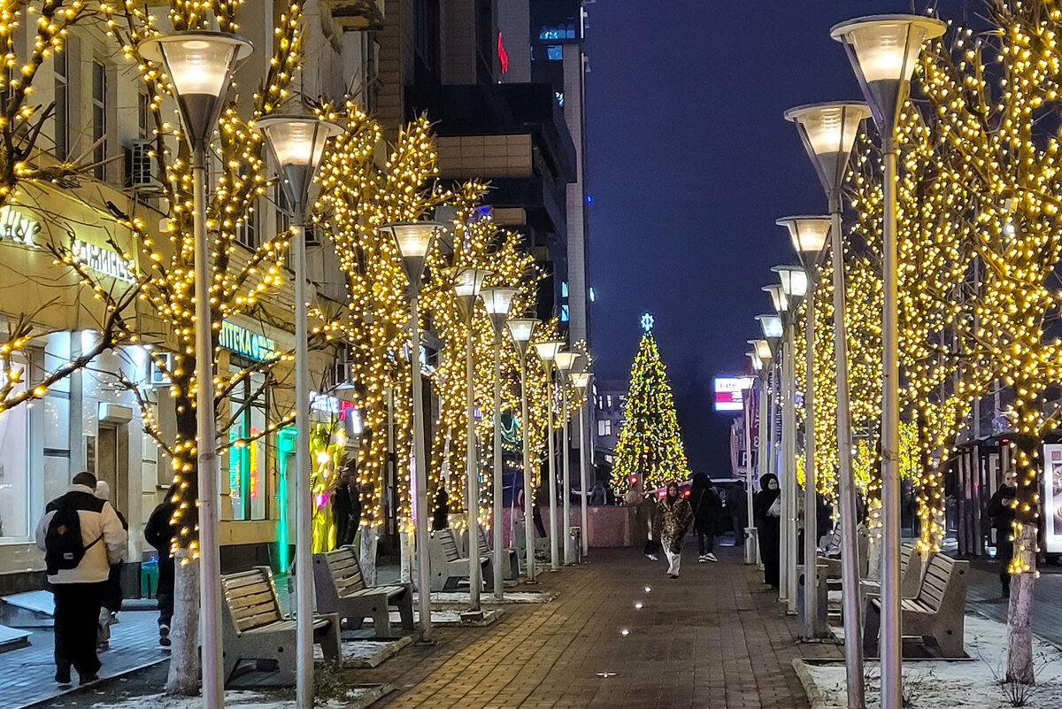 В декабре, в декабре все деревья в огне... т.е. в огоньках - Татьяна Машошина В декабре, в декабре все деревья в огне... т.е. в огоньках - Татьяна Машошина