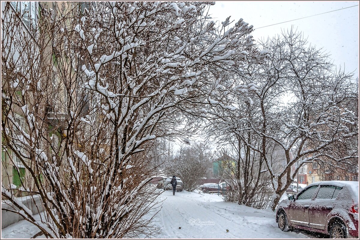 Декабрь... - Aquarius - Сергей Декабрь... - Aquarius - Сергей