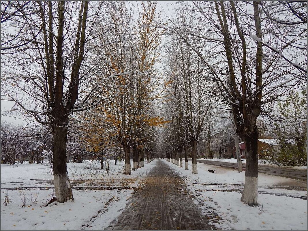 Предзимье ... - Валентина Надсон