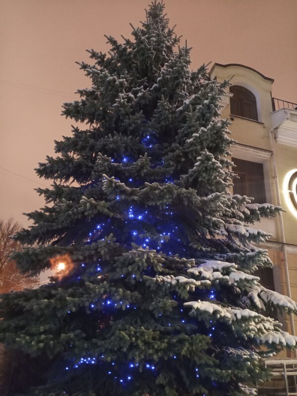 Ёлка - Сапсан 