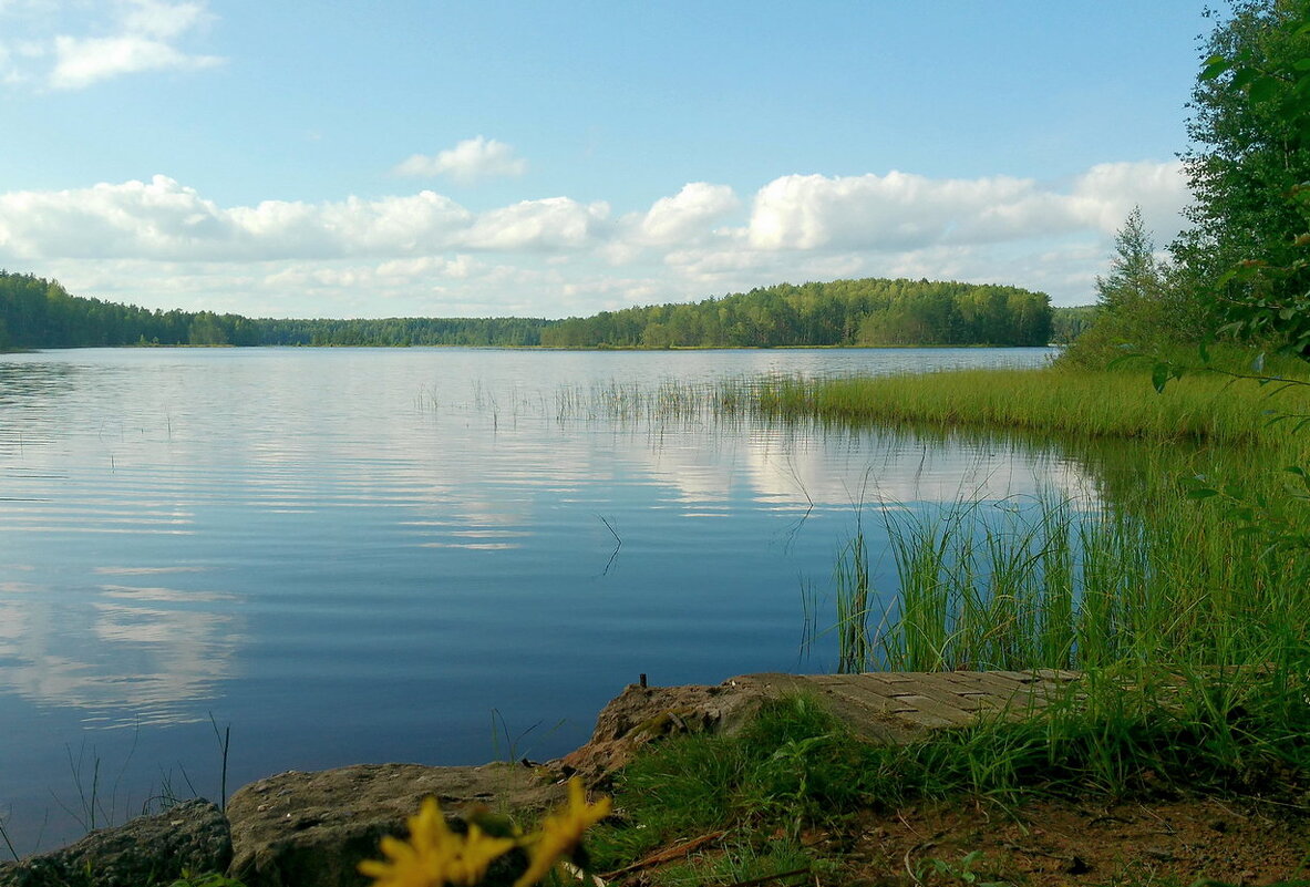 Медное озеро - Елена Суханова Медное озеро - Елена Суханова