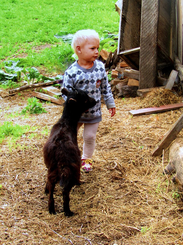 Ребята и зверята. - nadyasilyuk Вознюк