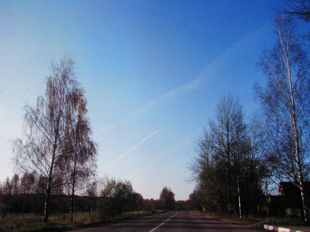 Вот такой декабрь - Людмила Смородинская Вот такой декабрь - Людмила Смородинская