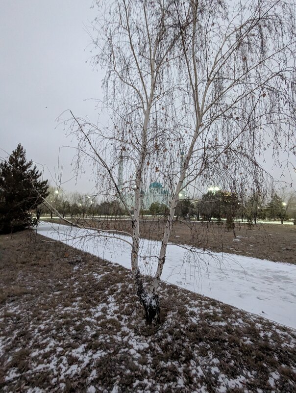 Декабрьская дорожка... - Андрей Хлопонин Декабрьская дорожка... - Андрей Хлопонин