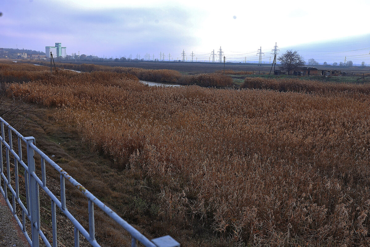 Всё в камышах - Юрий Гайворонскiий