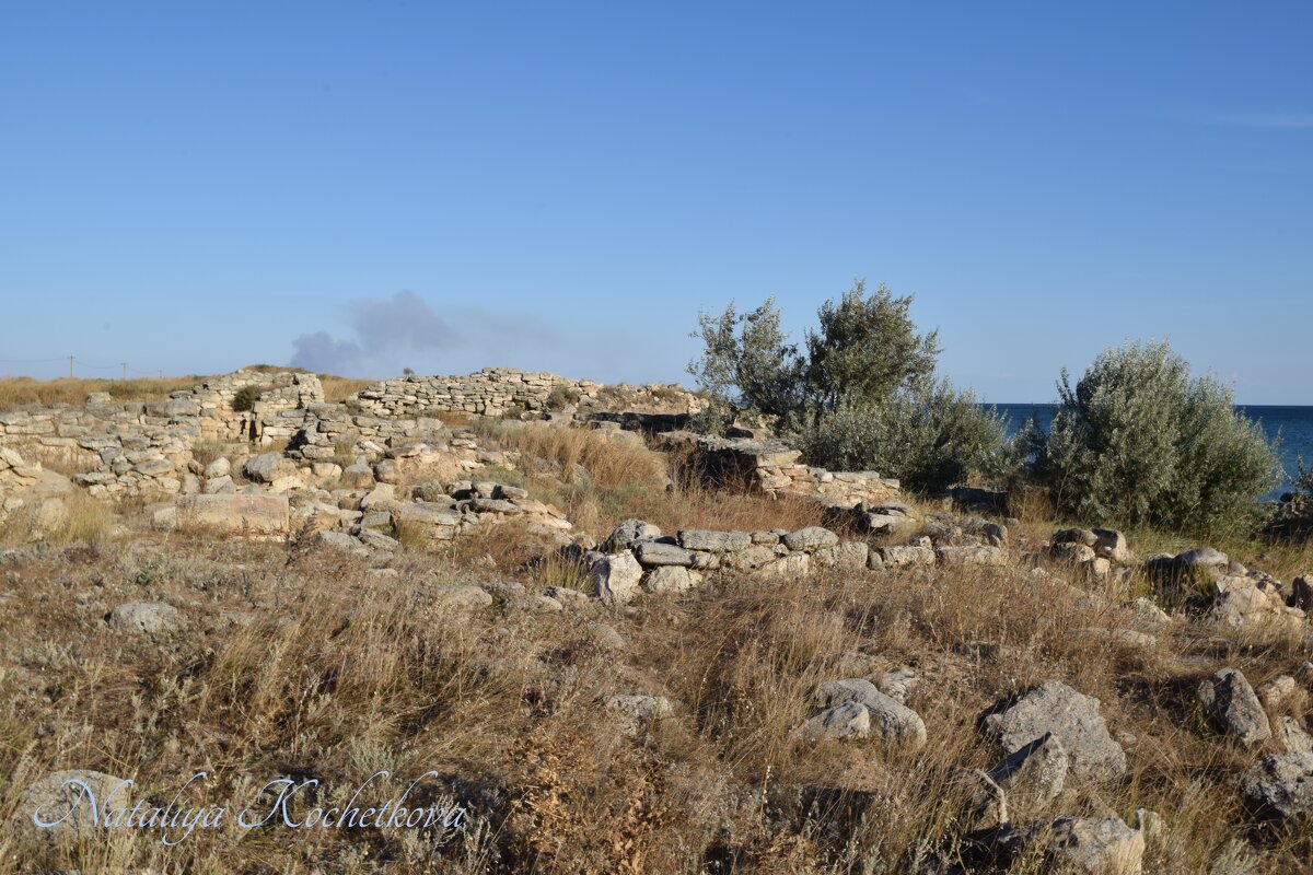 Природа Крыма - Amazing Cosmea Природа Крыма - Amazing Cosmea