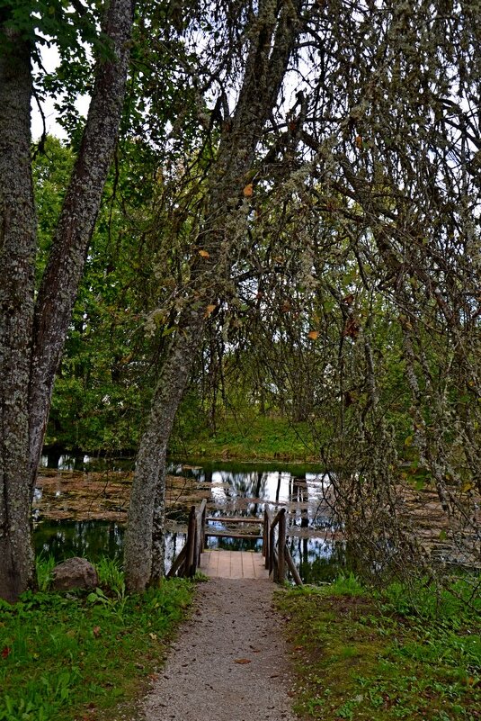 ПЕТРОВСКОЕ, вотчина Ганнибалов. - Виктор Осипчук ПЕТРОВСКОЕ, вотчина Ганнибалов. - Виктор Осипчук