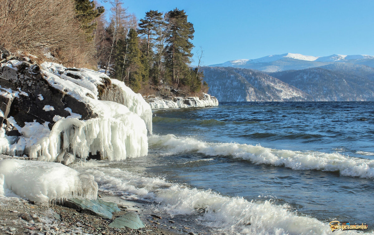 На Телецком озере - елена беликова На Телецком озере - елена беликова