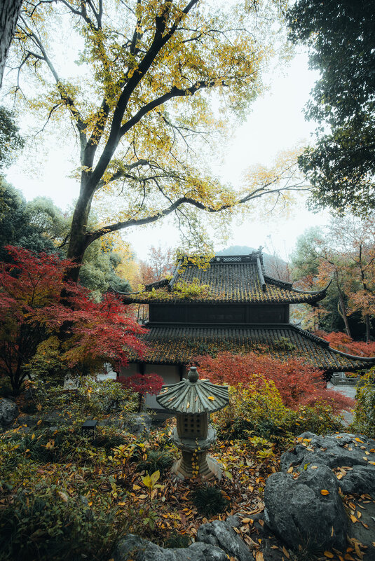 Осень в парке - Дмитрий 