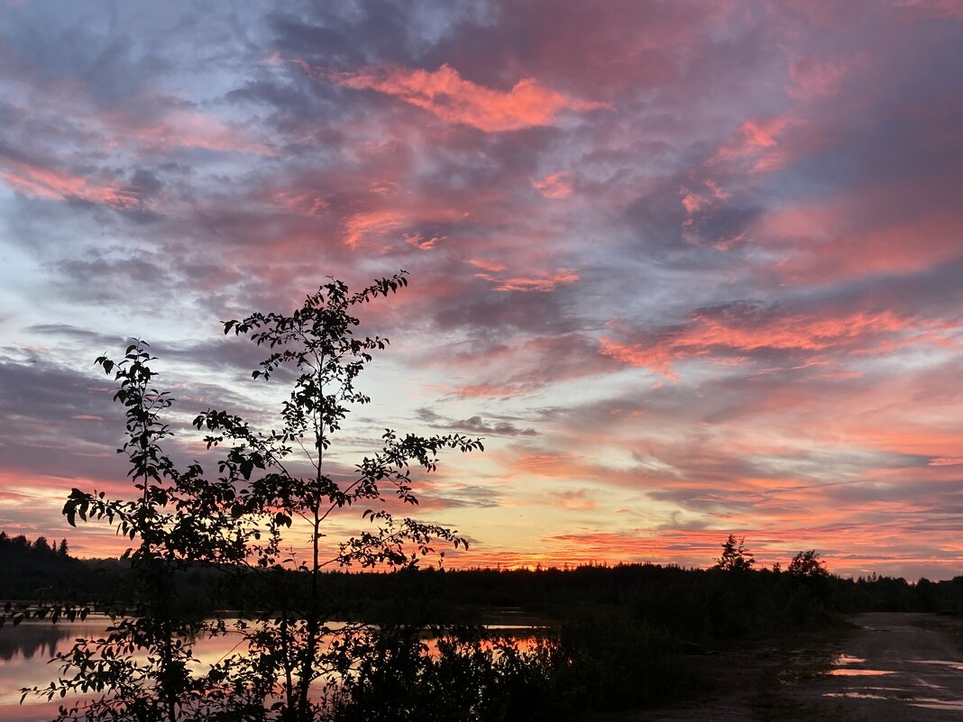 Акварельное небо - Ольга Савельева Акварельное небо - Ольга Савельева